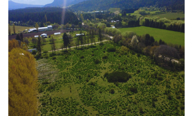 Terreno en Venta en El Bolsón